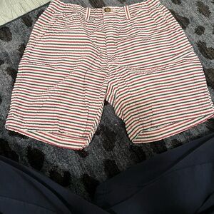 Chubbies Striped Men's Shorts - Red Blue and White